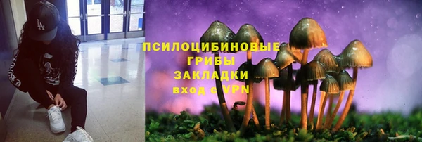 бошки Алзамай