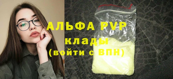 хмурый Алексин