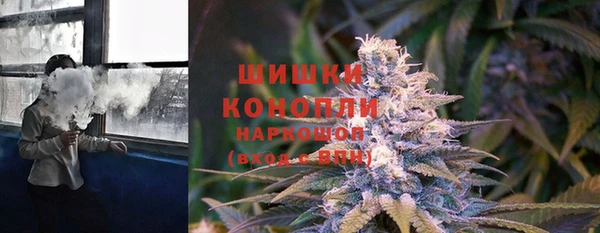 бошки Алзамай