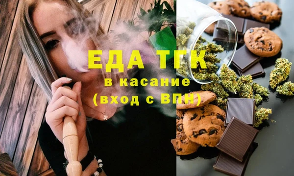 хмурый Алексин