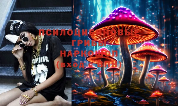 тгк Осинники